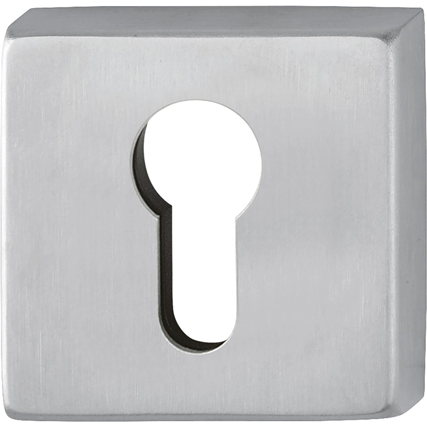 AnsaPro Rosettenpaar Thelon mit PZ-Lochung 37 mm - 42 mm Edelstahl Matt