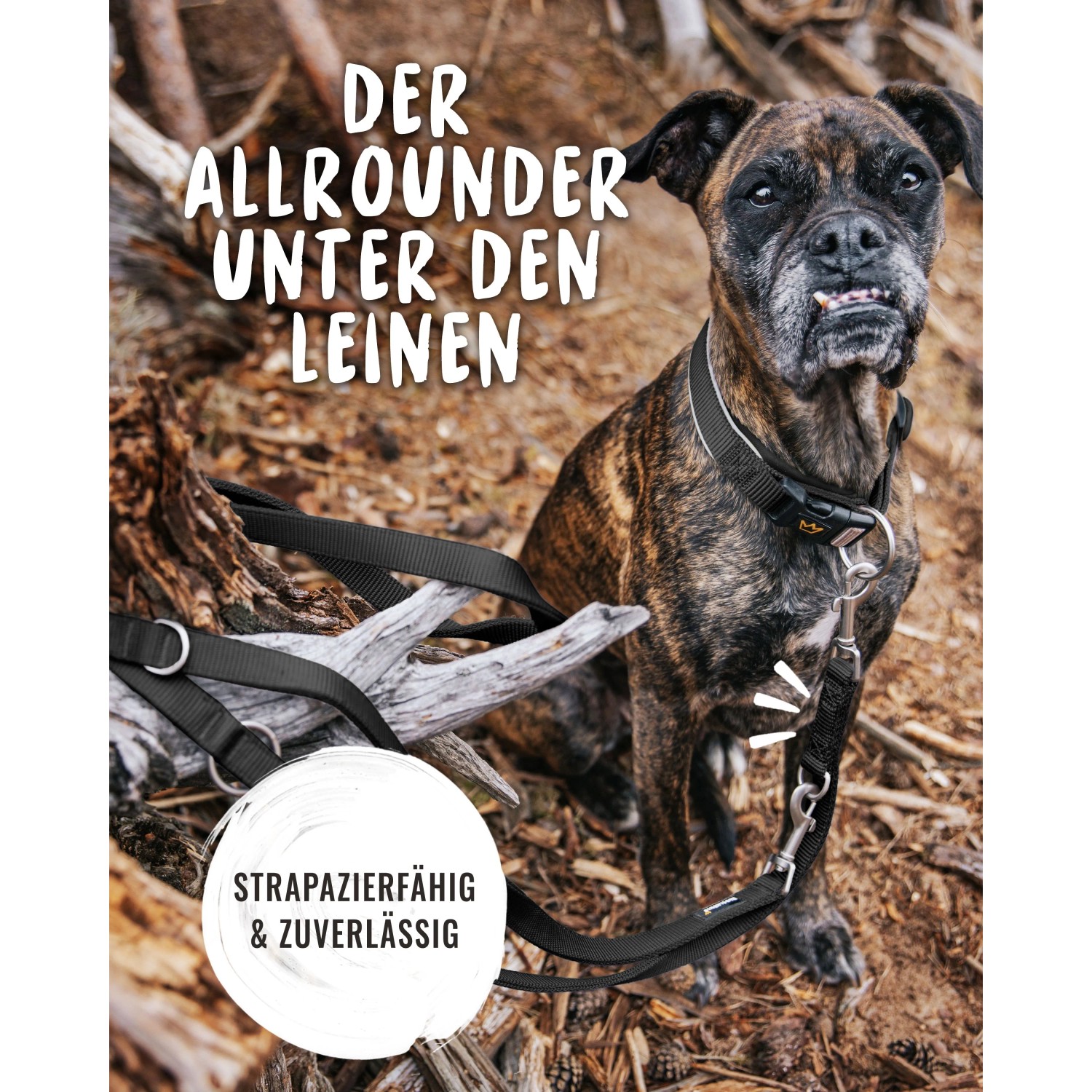 Schwarze, verstellbare Rudelkönig Hundeleine Frida aus Nylon mit Hund.