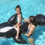 Kind auf Bestway Jumbo Wal Schwimmtier (203x102cm) im Pool mit Erwachsenem.