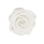 Nahaufnahme einer einzelnen, weißen Rose in einer Rosenbox. Blumenstrauß.