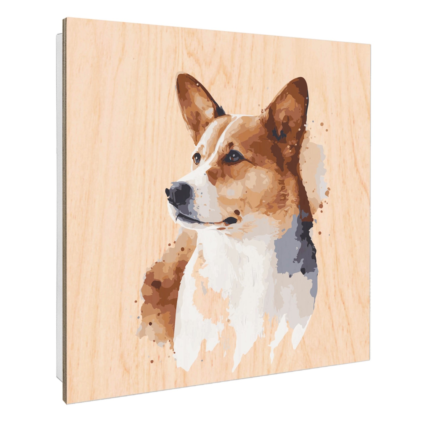 Banjado Schlüsselkasten mit Holzfront 30x30cm Weiß Scharnier Links 50 Haken günstig online kaufen