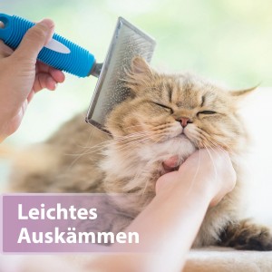 Katze wird mit Felisept Fellpflegespray und Bürste gepflegt.