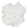 Rosenbox mit 4 weißen Rosen (Ø 10cm). Elegante Blumendekoration für jeden Anlass.