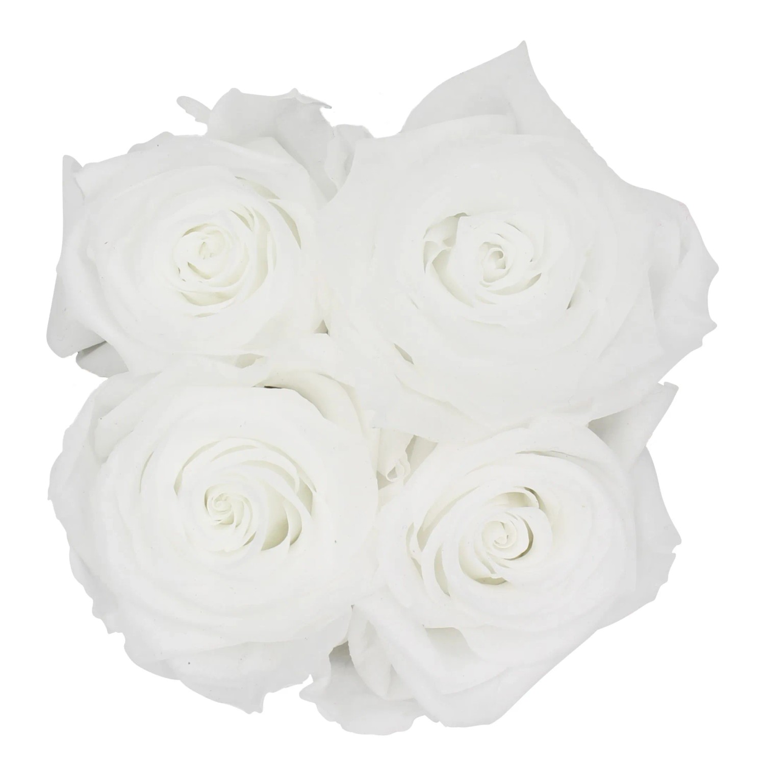 Rosenbox mit 4 weißen Rosen (Ø 10cm). Elegante Blumendekoration für jeden Anlass.