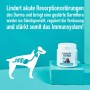 GreenHero Durchfalltabletten für Hunde & Katzen, 60 Stk. zur Unterstützung der Verdauung.
