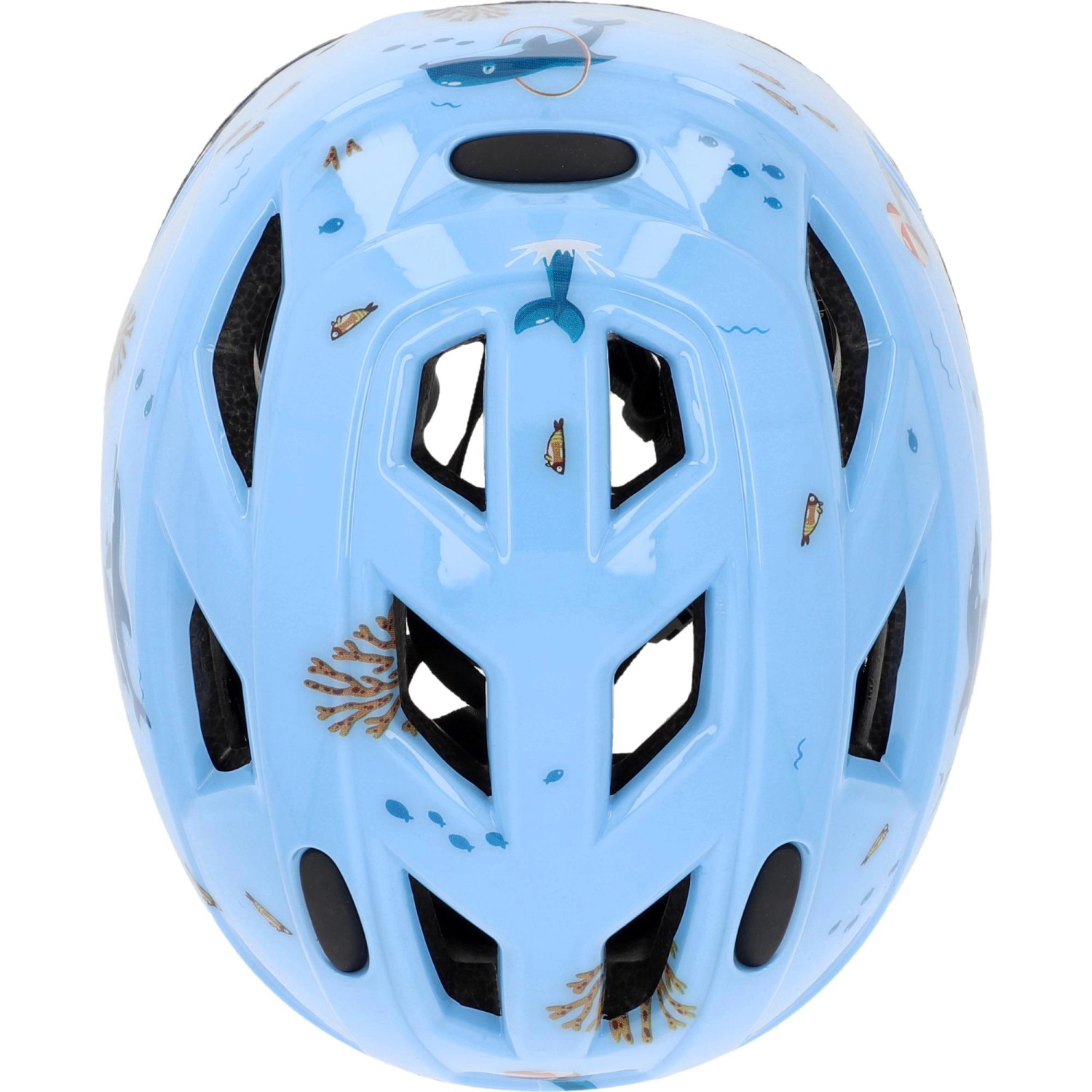 Blauer Fischer Kinder Fahrradhelm Plus Dolphin XS/S mit Delfin-Motiv und Belüftungslöchern.