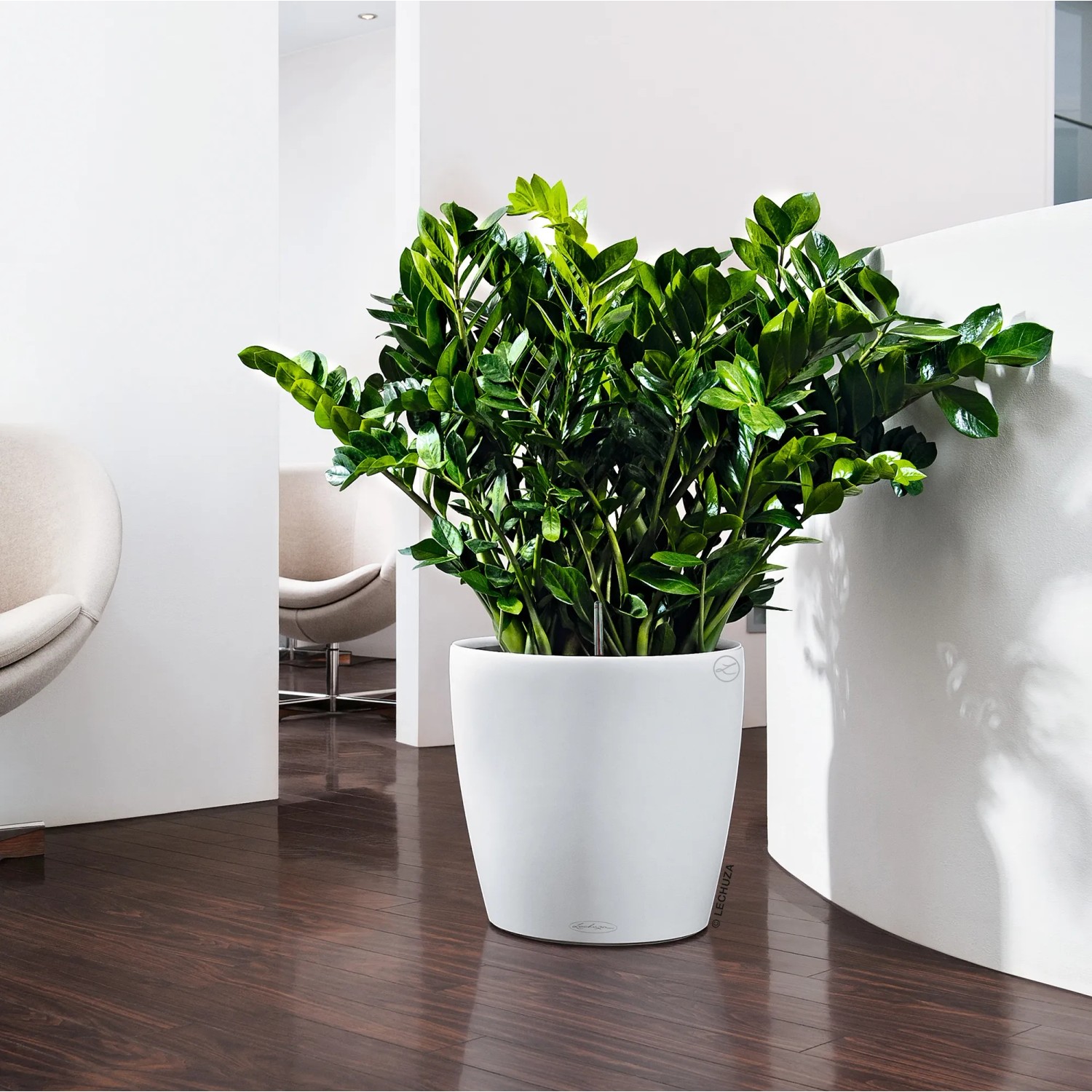 Weißes Lechuza Classico Color 35 Pflanzgefäß mit grüner Zimmerpflanze im modernen Wohnraum.