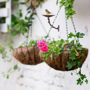 Braune Gusseisen Vogeltränke mit dekorativer Vogelfigur, an weißer Wand über Blumenampeln im Garten oder auf dem Balkon.