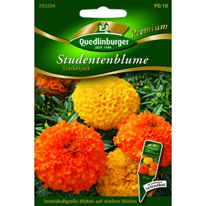 Samentüte Quedlinburger Studentenblume 'Crackerjack' mit orange-gelben Blüten.