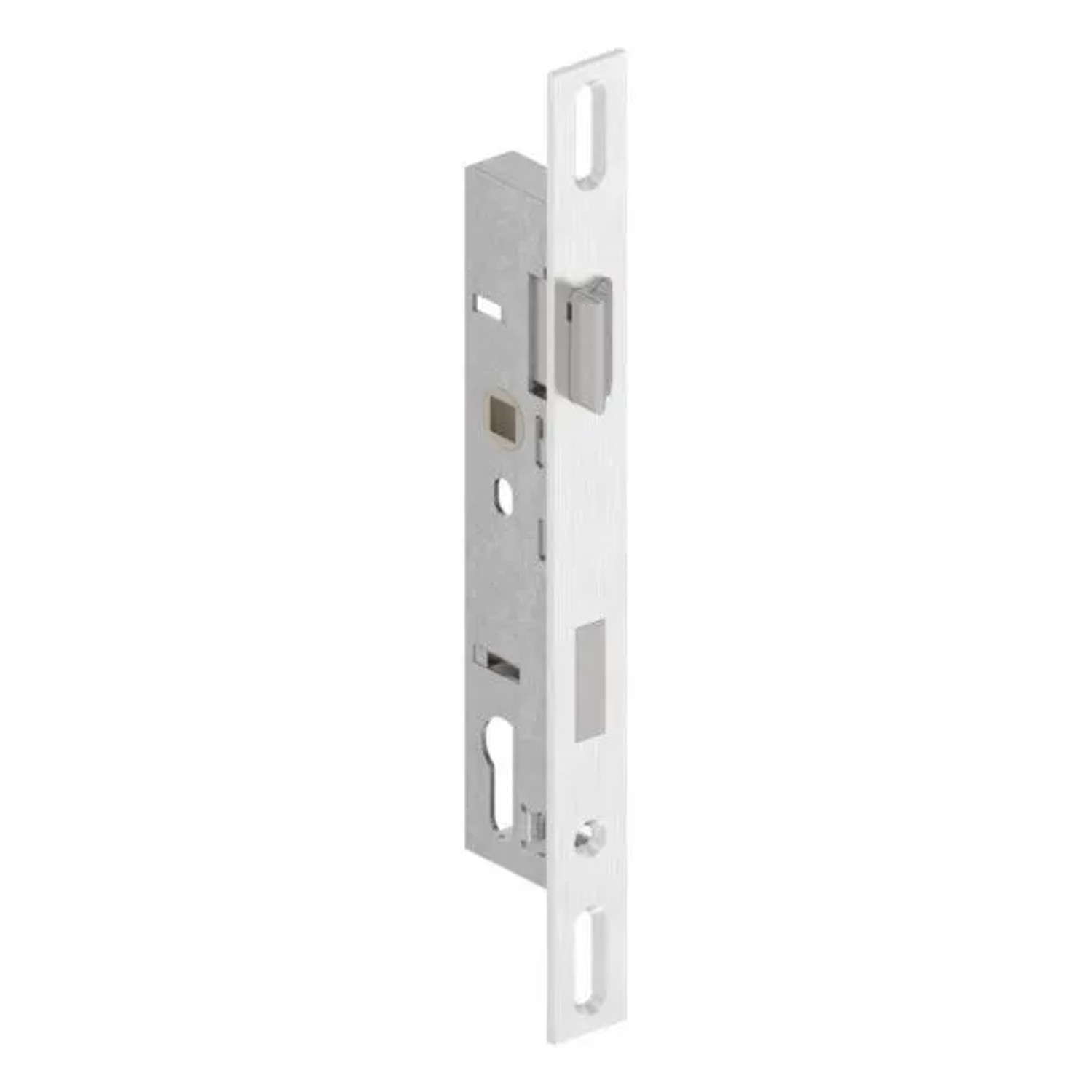 FeNau Rohrrahmenschloss Verzinkt Dornmaß 24 mm Abstand 92 mm Nuss 10 mm Langloch