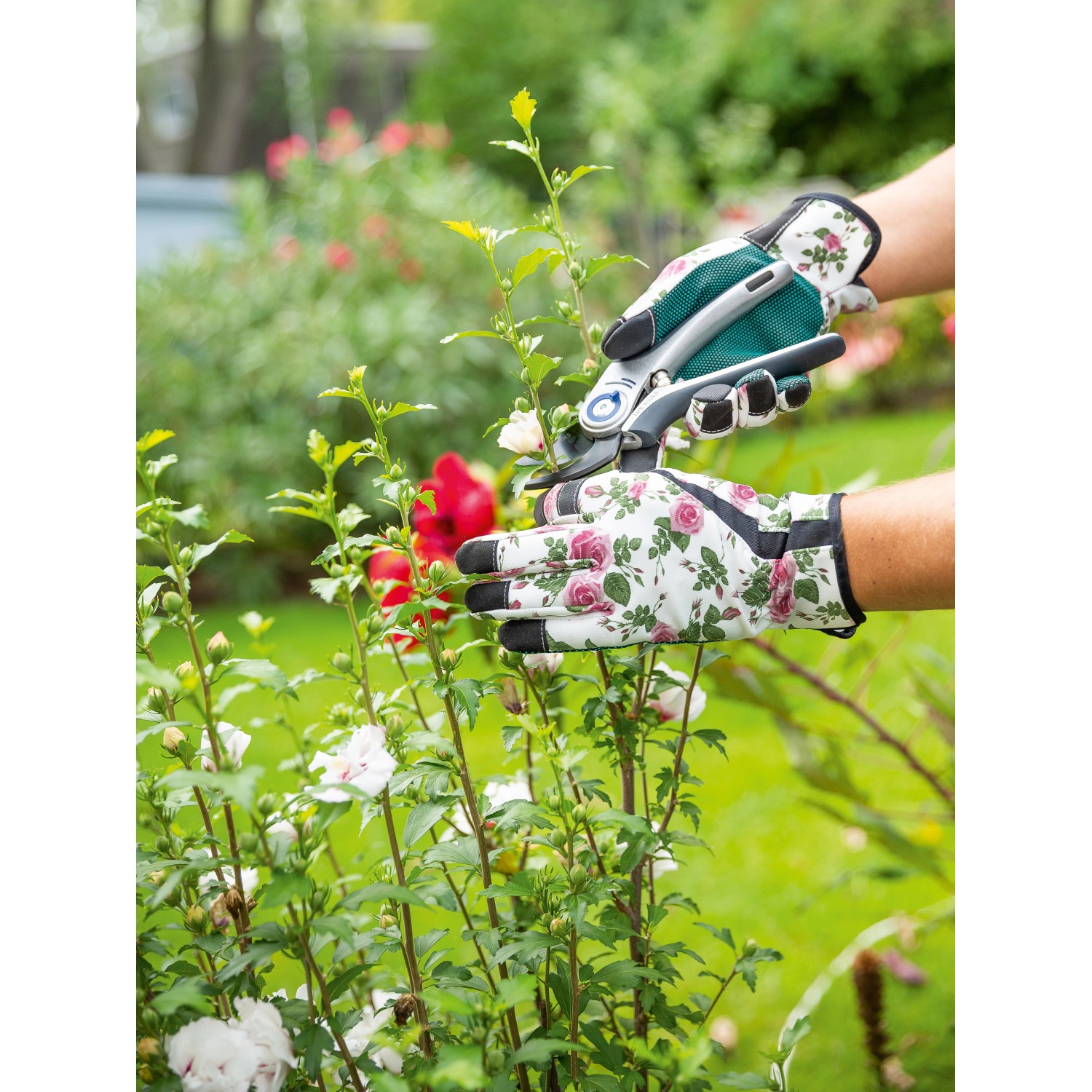 Gartenhandschuhe mit Blumenmuster, Größe 8, beim Schneiden von Pflanzen im Garten.