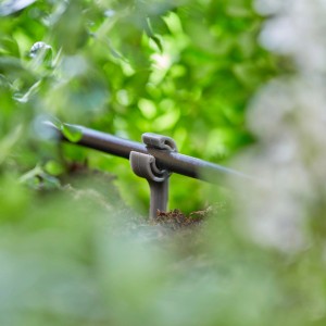 Gardena Rohrhalter (Ø 4,6 mm) fixiert ein Verteilerrohr im Micro-Drip-System.