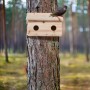Nistkasten aus hellem Tannenholz mit 2 Einfluglöchern an einem Baumstamm. Ein Star sitzt auf dem Dach des Vogelhauses.