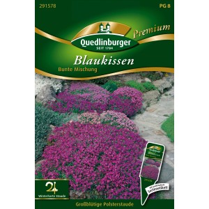 Blaukissen 'Bunte Mischung' Samen von Quedlinburger: Winterharte, rot-blaue Polsterstaude für Steingärten.
