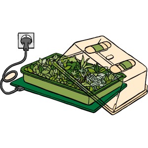 Romberg Heizmatte M 35x25 cm mit Anzuchtschale und Zimmergewächshaus für Pflanzenanzucht.