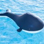 Blauer Westmann Pool Buddy Wal als Schwimmtier im Wasser.