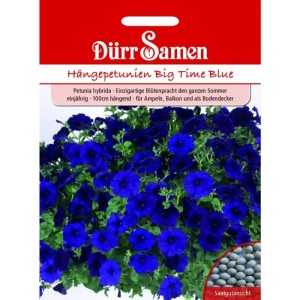 Dürr Samen Petunien Big Time Blue Dunkelblau Einjährig Saatgut