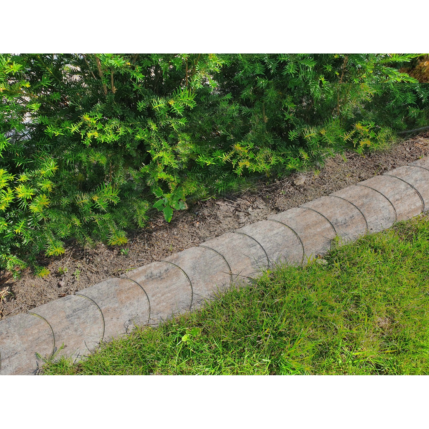 Diephaus Randstein Muschelkalk als Mähroboter-Begrenzung, eingebettet in Rasen und Beet.