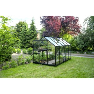 Halls Gewächshaus Popular, 6,2 m², schwarz, mit Pflanzen im Garten.