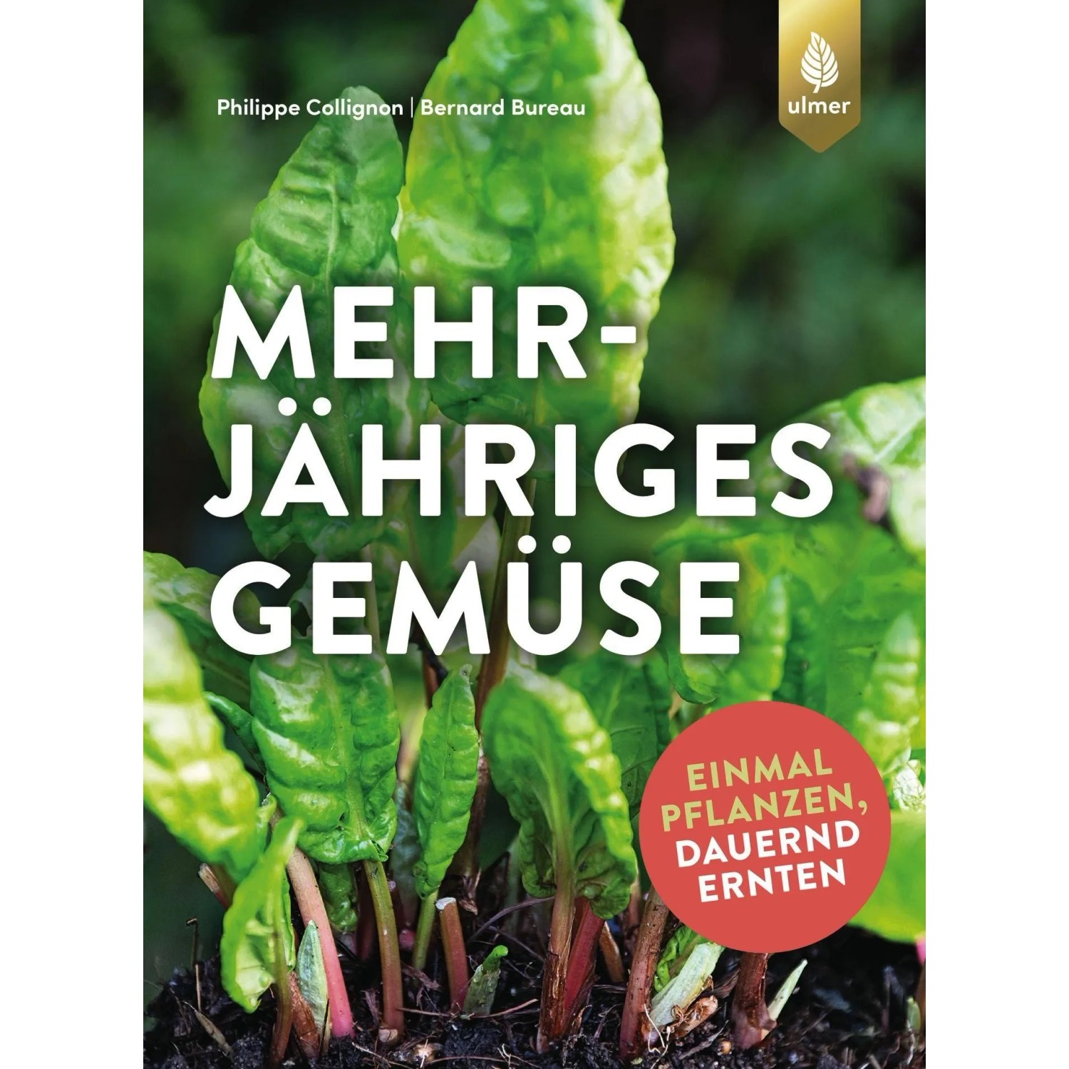 Mehrjähriges Gemüse