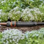 Gardena Basisgerät 1000, Startbaustein für Micro-Drip-System, im Gartenbeet.
