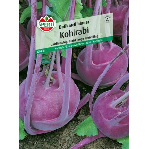 Sperli Kohlrabi Delikateß blauer, violette Knollen im Beet, Gemüsesamen für den Freilandanbau.
