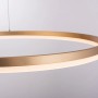 Moderne LED-Pendelleuchte Helia von Paul Neuhaus, 80 cm, Messing matt, dimmbar.