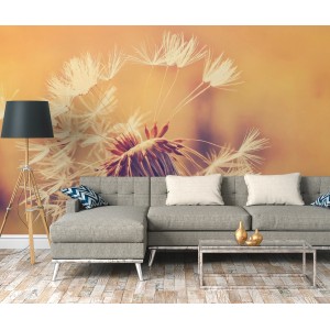 Fototapete mit Pusteblume in Orange und Gelb, passend zum Wohnambiente.