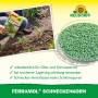 Neudorff Ferramol Schneckenkorn 1kg: Grüne Körner in Schale, Packung in Hand über Pflanze im Beet.