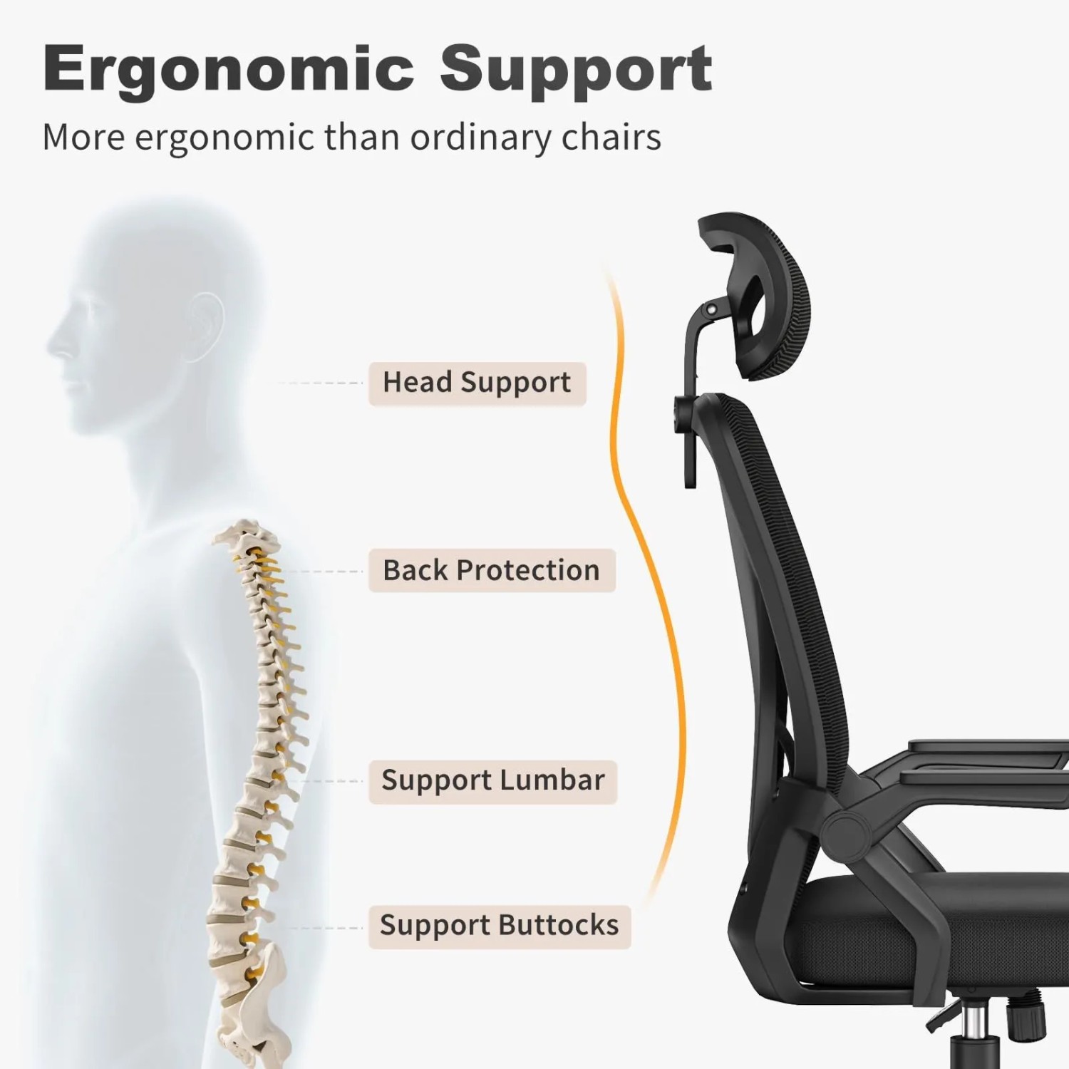 Ergonomischer Rattantree Bürostuhl: Diagramm zeigt Kopf-, Rücken- und Lendenwirbelstütze für Komfort.