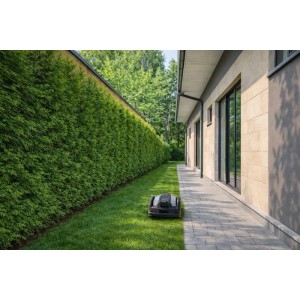Greenworks Mähroboter AiMowbot 8 auf grünem Rasen neben gepflastertem Weg und Hecke. Kabellose Rasenpflege.