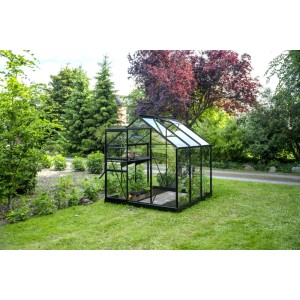 Schwarzes Halls Gewächshaus Popular 3,8 m² im Garten mit Pflanzen.