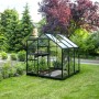 Schwarzes Halls Gewächshaus Popular 3,8 m² im Garten mit Pflanzen.
