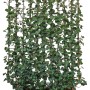 Efeu Hecke für Balkon, 130x100 cm, grüner Sichtschutz im Pflanzgefäß.