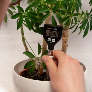 PCE Instruments pH Wert Tester PH 18 bei der Messung des pH-Werts einer Zimmerpflanze.