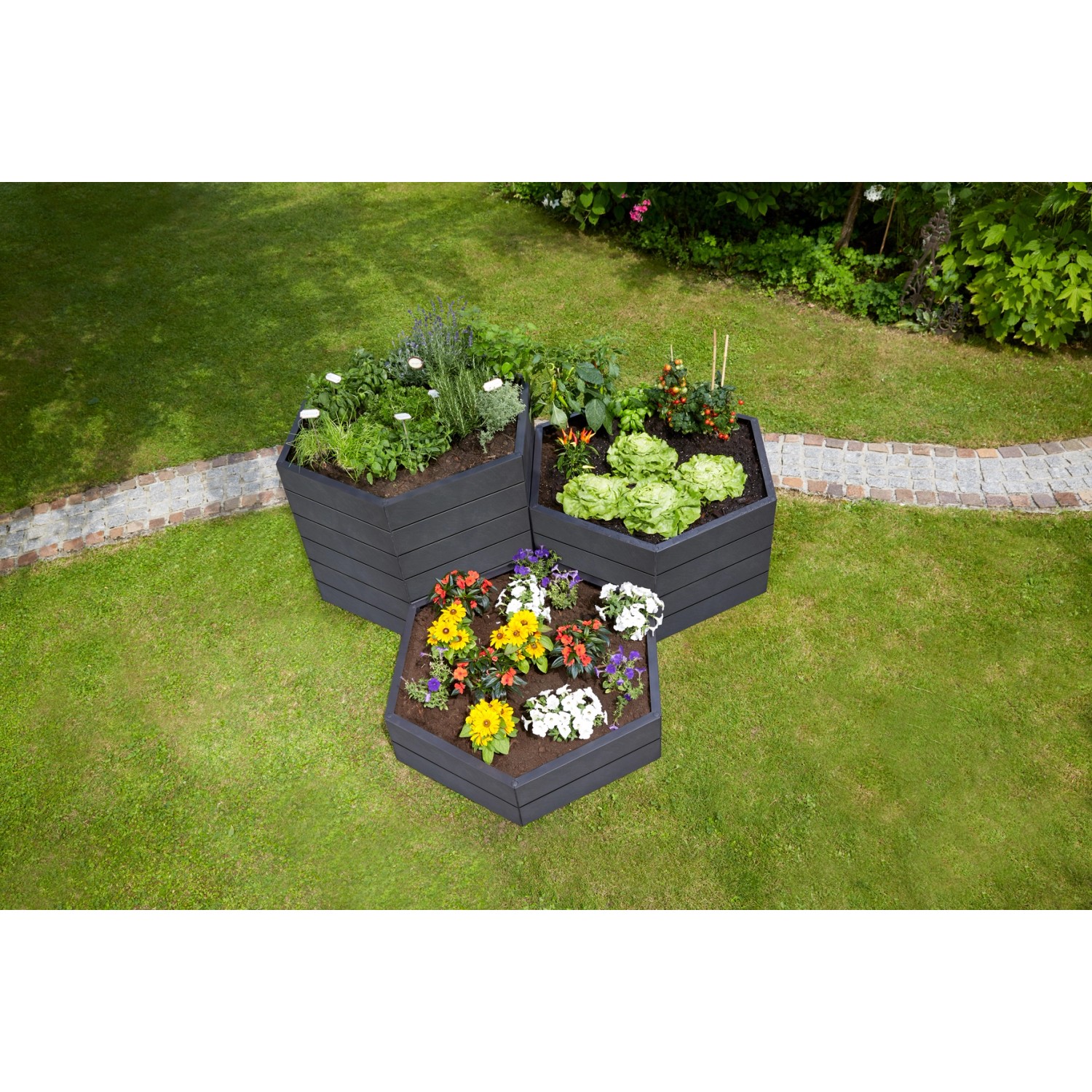 Garantia Hochbeet Ergo Vario 1 Stone, Kunststoff-Hochbeete im Garten mit Blumen, Kräutern und Gemüse.