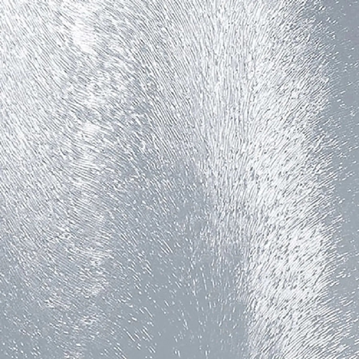 Detailansicht der anthrazitfarbenen Kunststoff-Haustür mit weißem Akzent.