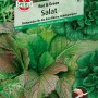 Sperli Asia-Salat Saatband Red & Green: Saatband mit verschiedenen Asia-Salat Sorten.
