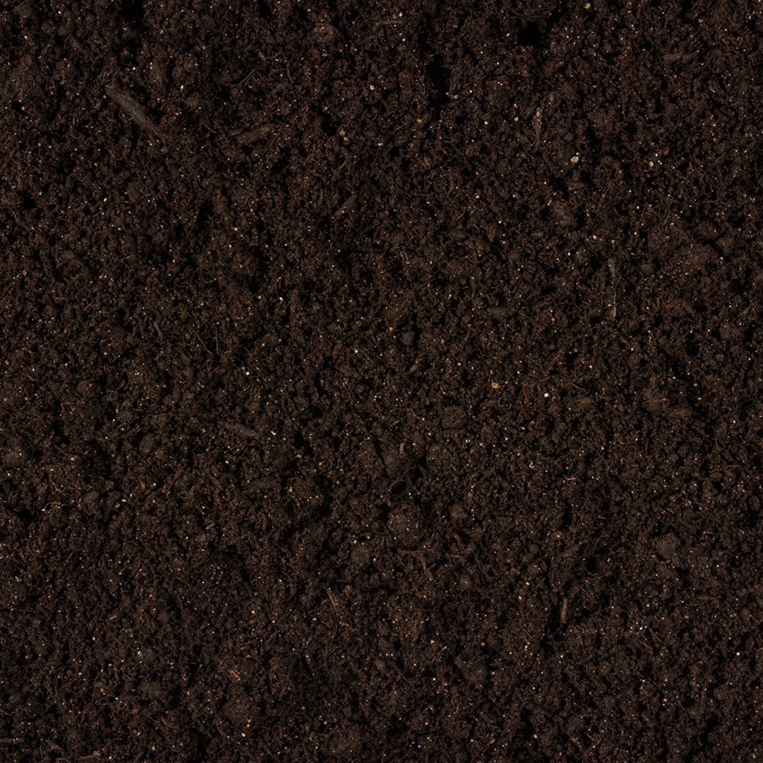 Nahaufnahme von Compo Sana Rhododendronerde, dunkle, feinkrümelige Struktur.