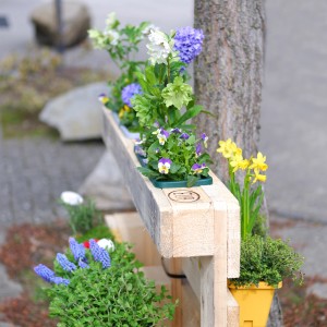 GreenLife Blumenkasten 3er Set, terrabraun, mit verschiedenen Blumen und Kräutern bepflanzt.