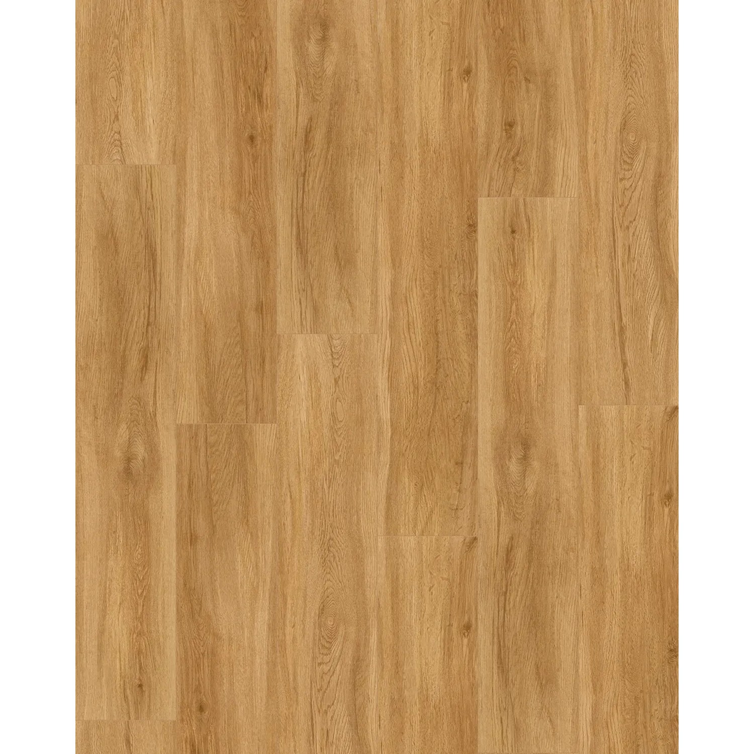Parador Vinylboden Basic 5.3 Eiche Sierra Natur, Klick-Vinyl in warmer Holzoptik.