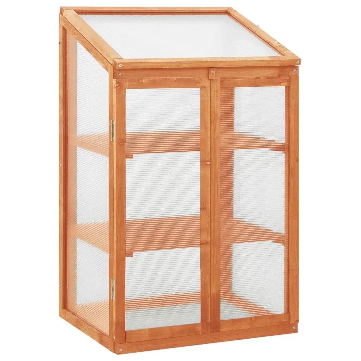 vidaXL Gewächshaus 60x45x100 cm Tannenholz 314848