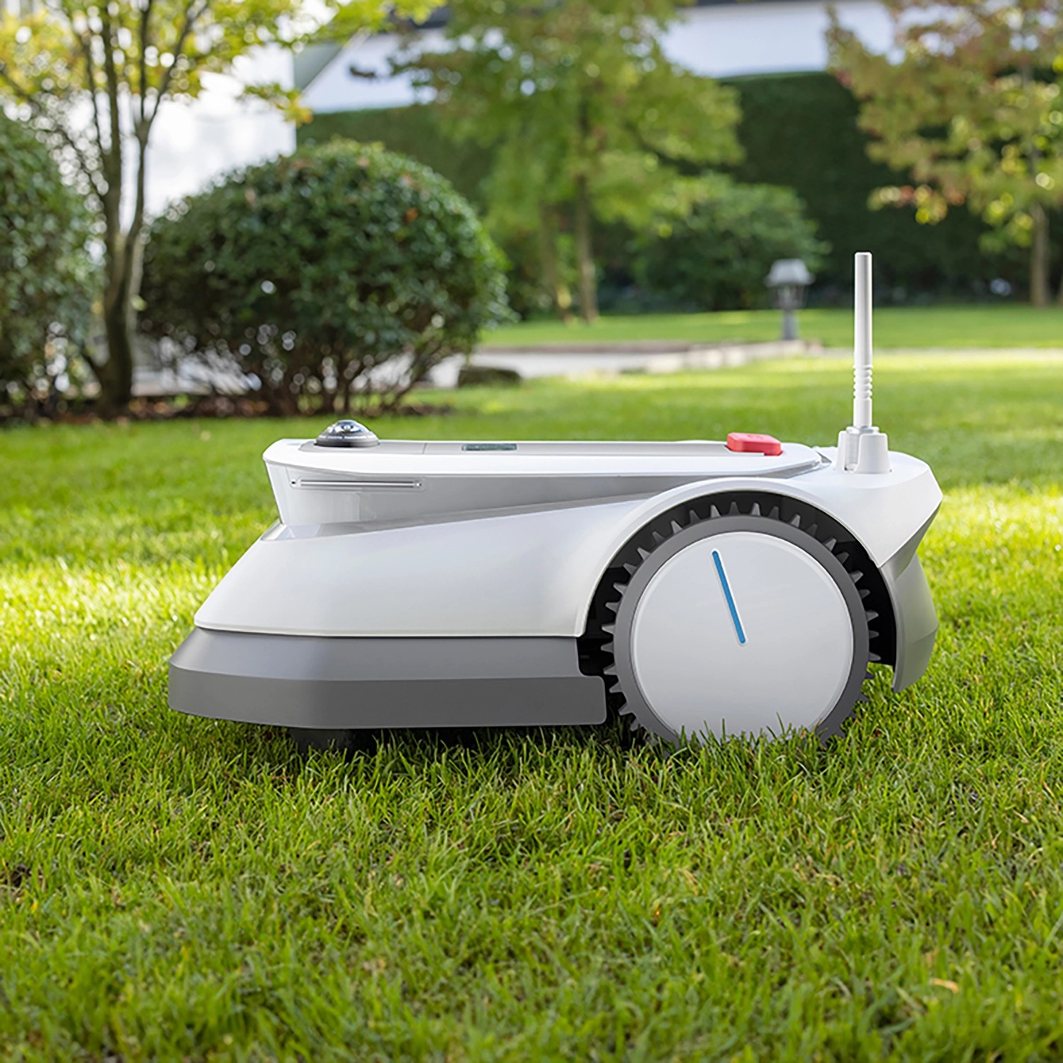 Ecovacs Mähroboter GOAT G1800 bis 800 m² kaufen bei OBI