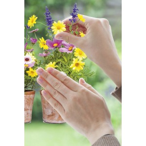 Komar Fenstersticker Springtime: Hände bringen Blumen auf eine Fensterscheibe an.
