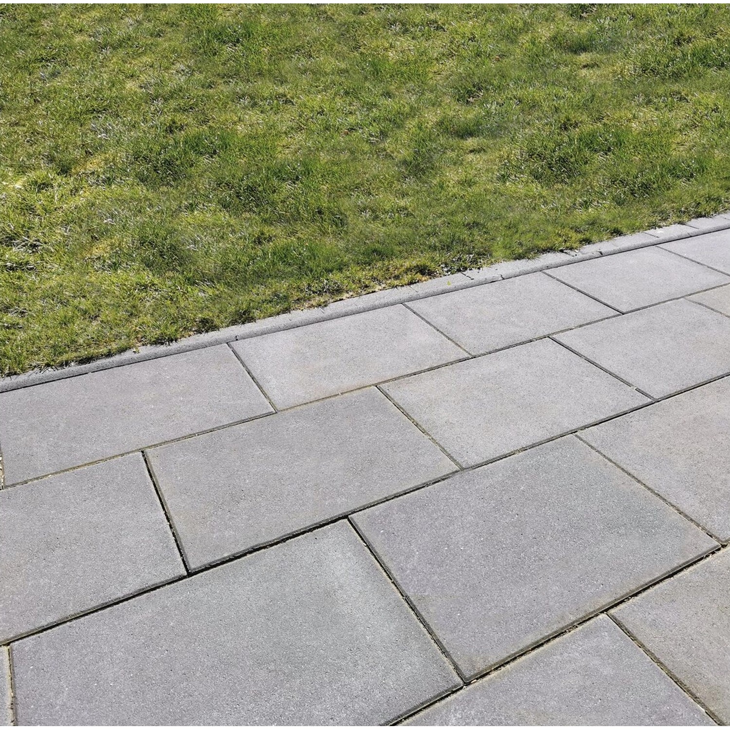 Gehwegplatte Grau 60 x 40 x 5 cm mit Fase bei OBI
