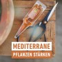 Compo Mediterrane Pflanzen Aufbaukur mit Schere auf Holzuntergrund. Dünger für mediterrane Pflanzen.