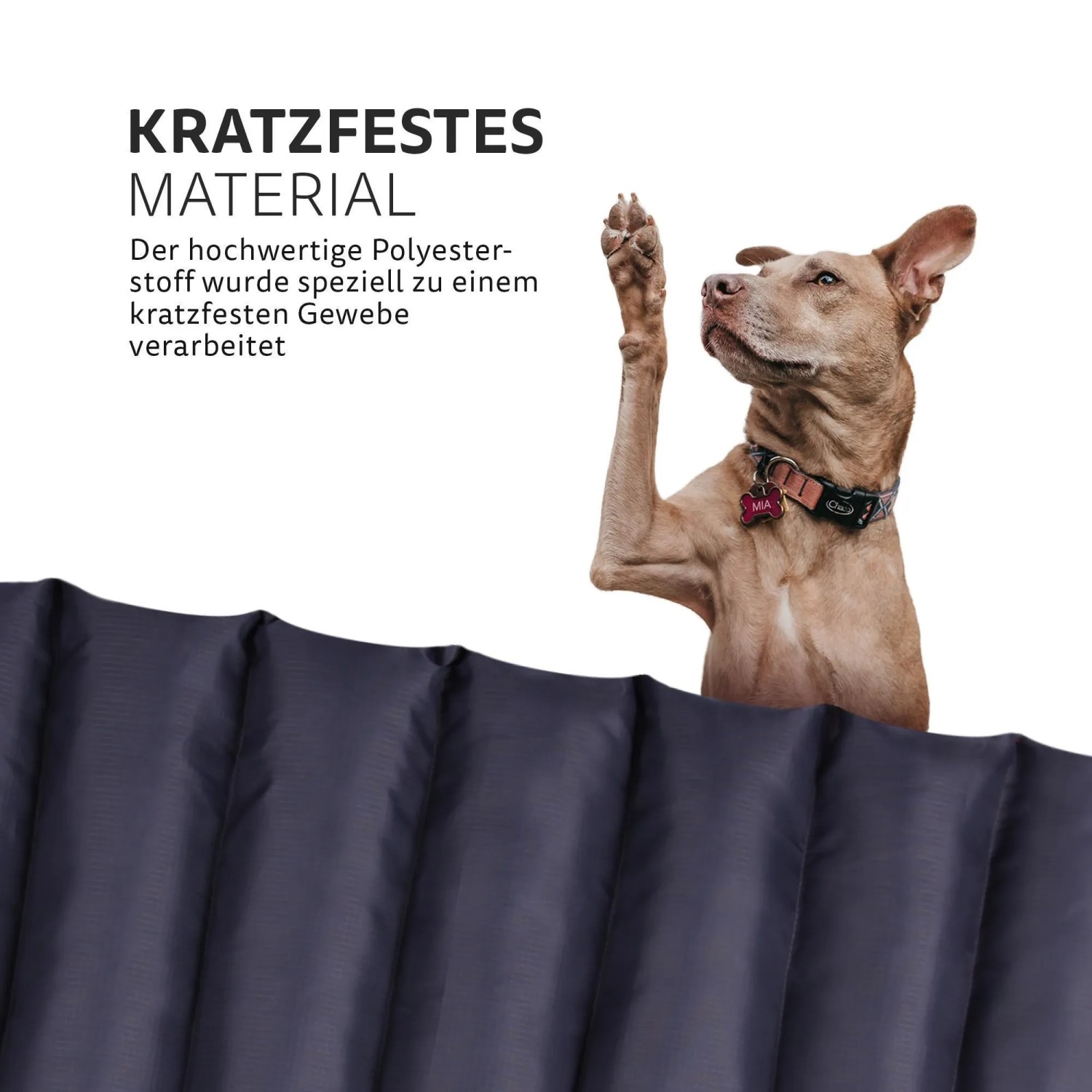 Bestlivings Hundematte Limette, 85x70cm, wasserabweisend, atmungsaktiv. Hund liegt auf der Outdoor Hundebett.
