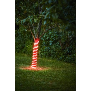 Rotes Eglo LED-Leuchtband Flatneonled (500 cm) um einen Baum gewickelt, für dekorative Außenbeleuchtung.