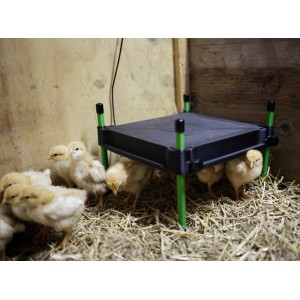 Wärmeplatte CosyHeat 30x30 cm für Küken im Stall, Zubehör für Geflügel.
