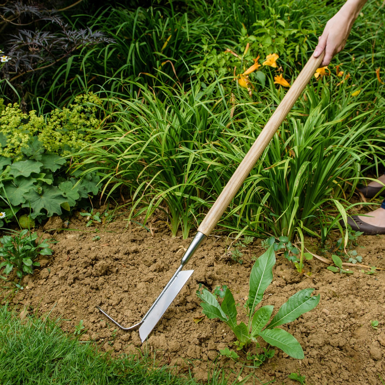 Unkrautpflücker Mit 4 Zähnen 50cm - Gartenwerkzeug Mit Langem Griff Für Bequemes Jäten